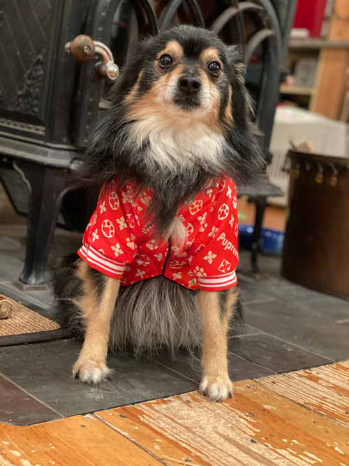 PUPREME bomber jacket by SPARK PAWS